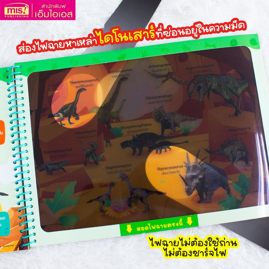 Thumbnail 5
