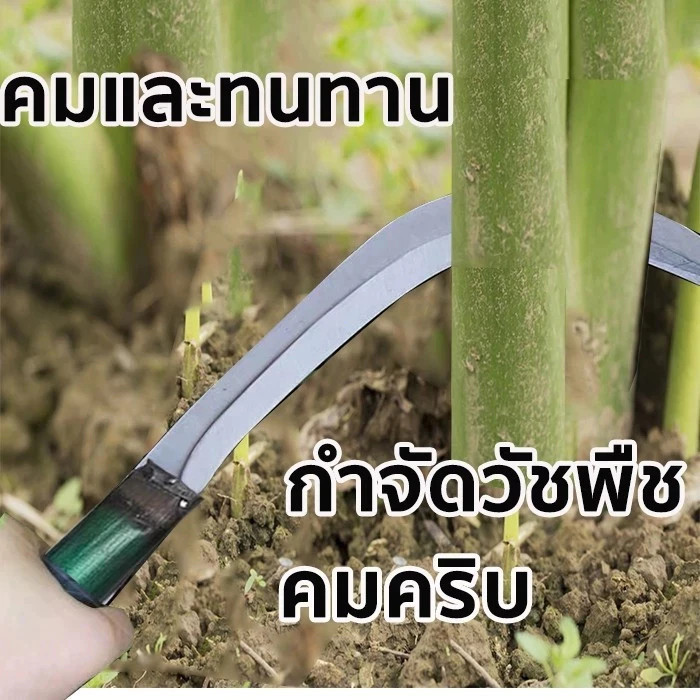 85CM เคียวแมงกานีส เคียวเหล็กแมงกานีส เคียวเกี่ยวหญ้า เคียวเกี่ยวข้าว มีดถางหญ้า คียวตัดกิ่งไม้ - รูปที่ 3