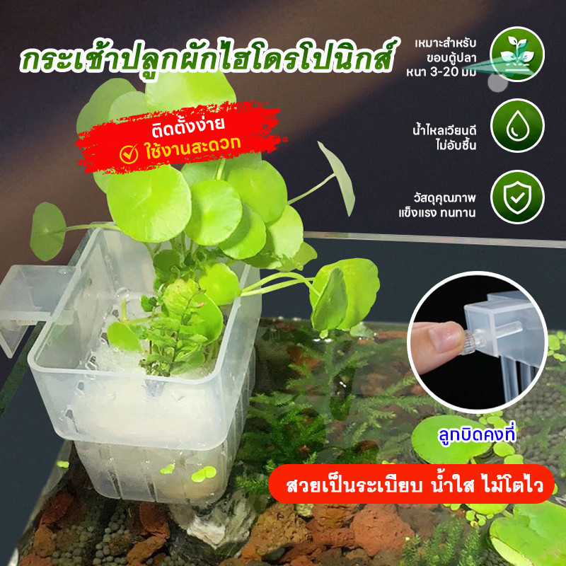 ถ้วยปลูกพืชน้ำตู้ปลา ติดผนังได้ด้วยตะขอ น้ำและออกซิเจนซึมผ่านได้ ปกป้องรากพืช ตกแต่งตู้ปลาสวยงาม