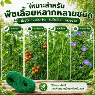ตาข่ายปลูกผัก ตาข่ายไม้เลื้อย ค้างผัก ค้างแตง ตาข่ายบวบแตงกวา อวนปลูกผัก เน็ตตาข่ายสี่มุม ทนทาน