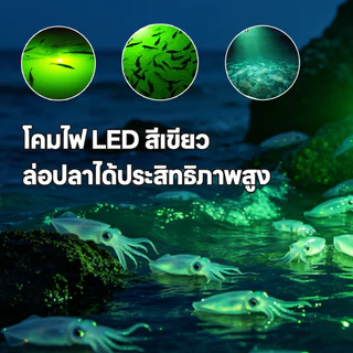 ไฟตกปลา ไฟคีบแบต ไฟสีเขียว 800W DC12V ไฟไดหมึก สีเขียวล่อปลา อุปกรณ์ตกปลา กันน้ำระดับ IP20