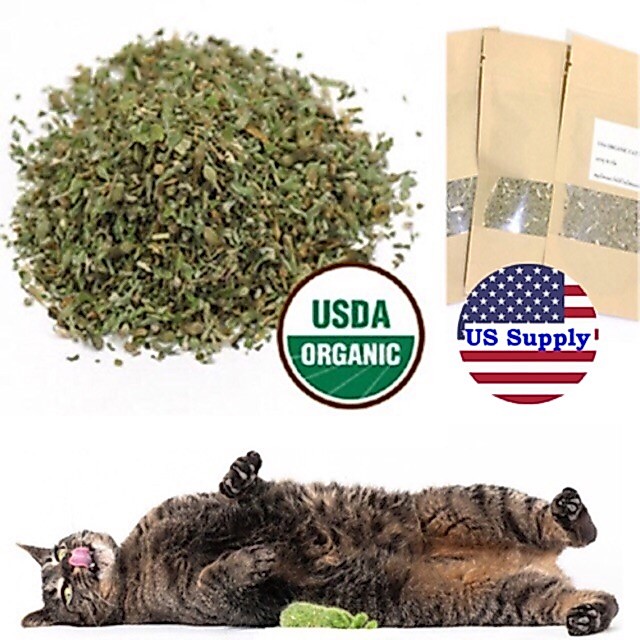 USA ORGANIC CATNIP (15 กรัม) แคทนิปออแกนนิก  เกรด Top หอมสดใหม่ ใส่ของเล่น โรยที่นอน กินได้แมวชอบ
