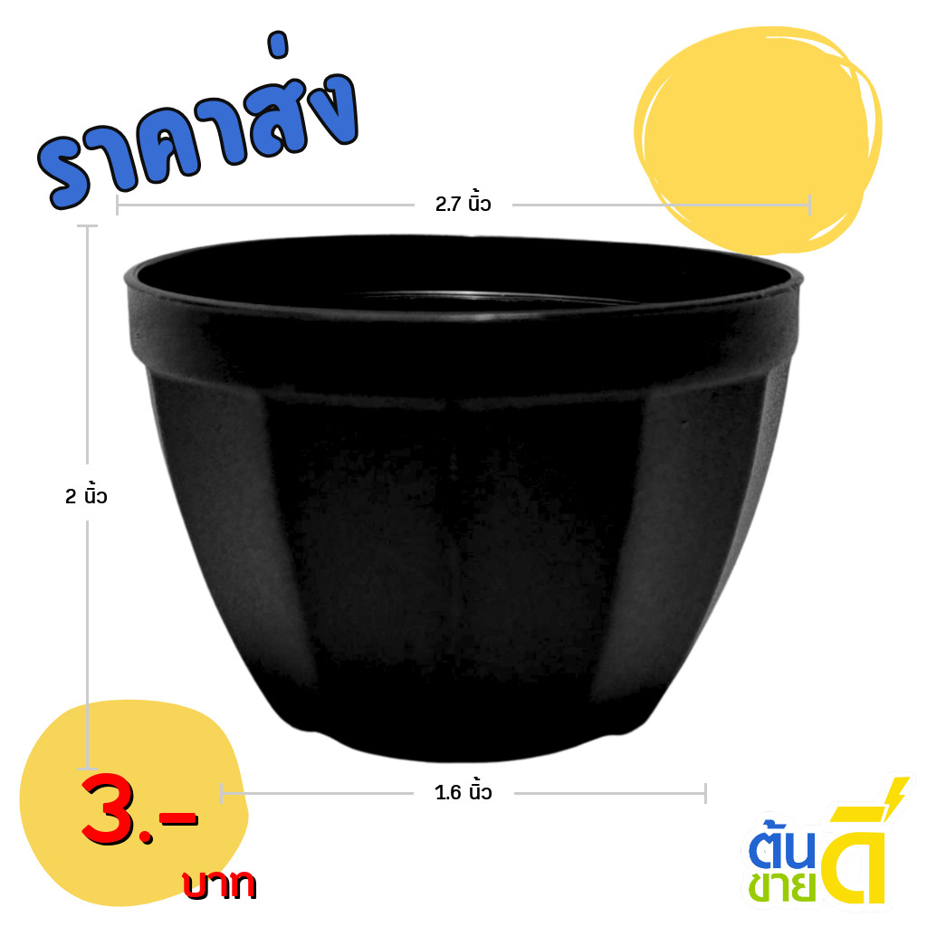กระถางแคคตัส กระถางกลมเล็ก 1 2 3 นิ้ว ขายปลีก