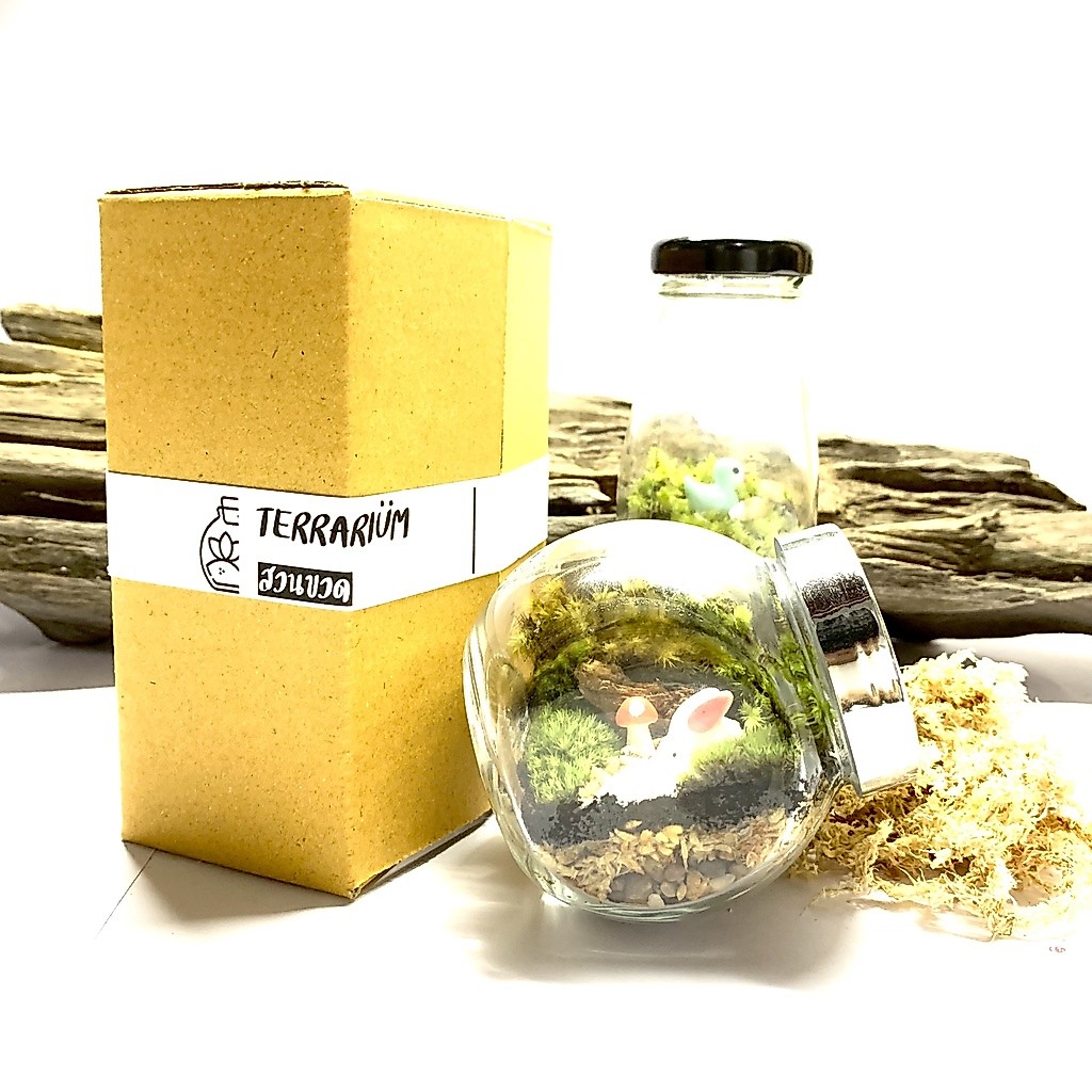 [ถูกที่สุด] ✿ ชุดจัดสวนขวด/Terrarium (DIY) *พร้อมอุปกรณ์เยอะที่สุด*