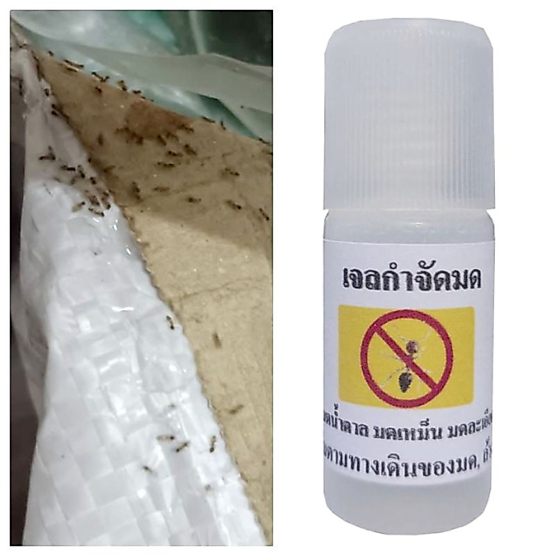 พร้อมส่ง เจลกำจัดมด 8ml. ได้ผล100% ใช้ได้มากกว่า15ครั้ง