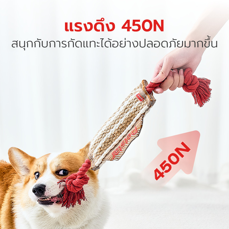 Petstar حبل عض للكلاب لتنظيف الأسنان — صورة 2