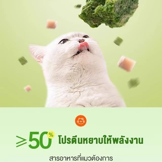 😺หญ้าแมวฟรีซดราย 100g ช่วยขับก้อนขน บำรุงระบบย่อย อาหารเสริมแมวธรรมชาติ
