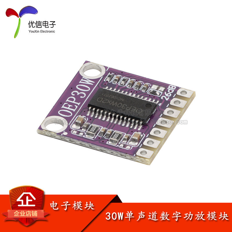 [Youxin Electronics] 30W Mono Digital Power Amplifier Module Class D Mini Speaker Power Amplifier Po