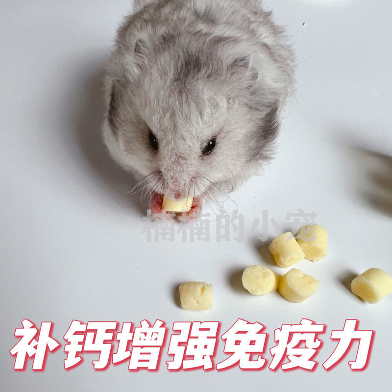 Ñ ñVestido Dave Gulfatmous Powder Sweetheart Kimber兰子补羊乳奶粒小宠物 Catshamster Snacks nutrition cheese gr