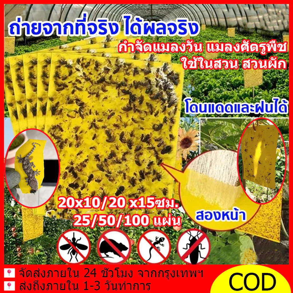 แผ่นกาวดักแมลง มีกาวในตัว 2ด้าน กับดักแมลงกินผัก ดักแมลงศัตรูพืช กาวดักแมลงวันทอง กำจัดแมลงวัน ใช้ในสวน ทนแดด 50/100PCS