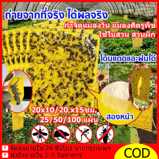 แผ่นกาวดักแมลง มีกาวในตัว 2ด้าน กับดักแมลงกินผัก ดักแมลงศัตรูพืช กาวดักแมลงวันทอง กำจัดแมลงวัน ใช้ในสวน ทนแดด 50/100PCS