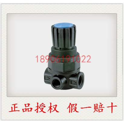 [การอนุญาตของแท้] SHAKO Xingong วาล์วลดความดันที่มีความแม่นยํา NR200-02 วาล์วหมุนเวียนแรงดัน NR200L2