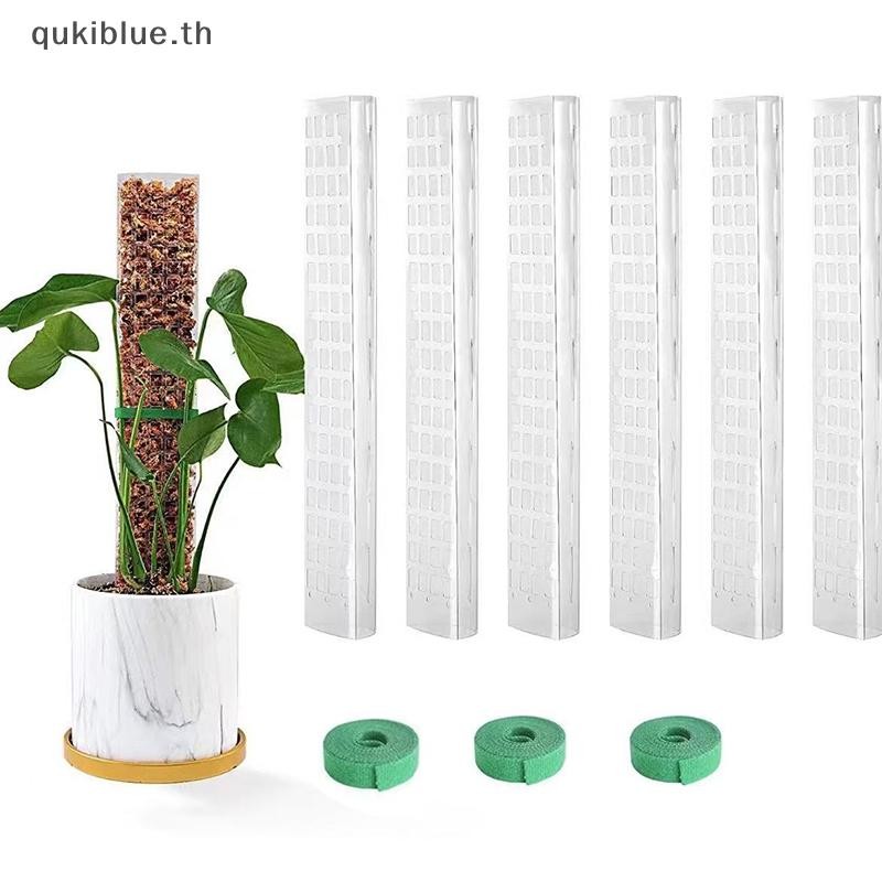 Qukiblue.th 2/4/6 ชิ้นพืชปีนเขาน้ํา Moss คอลัมน์ในร่ม Moss POLE พืชเสาพลาสติกสําหรับ Sphagnum สนับสน