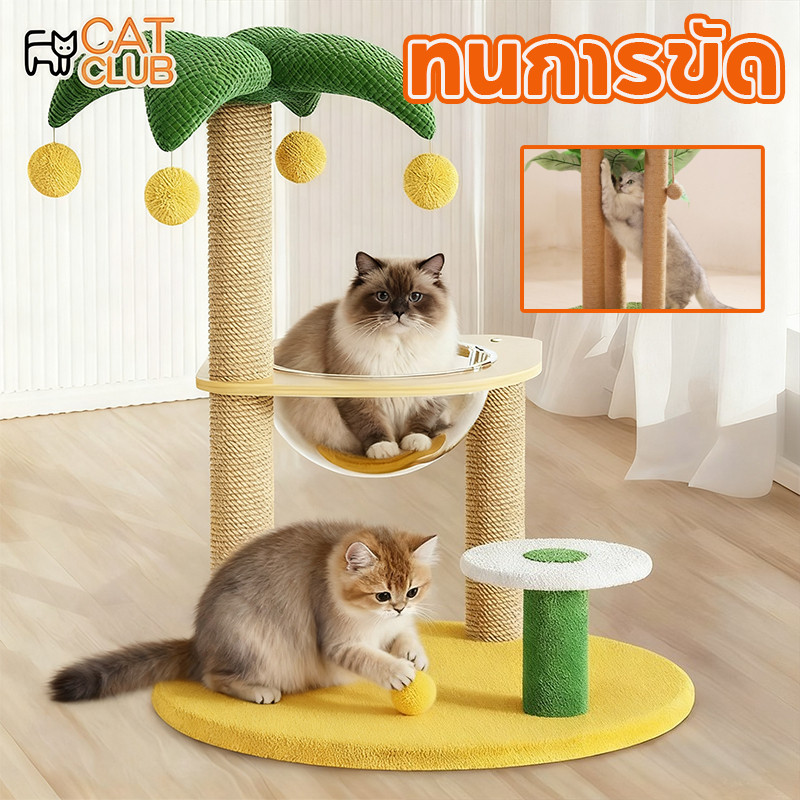 CAT CLUB😺COD😺คอนโดแมว มัลติฟังก์ชั่น กรอบปีนแมว สูง70 cm เสาลับเล็บแมวได้ แคปซูลอวกาศ ทนต่อการขีดข่วน ของเล่นแมว