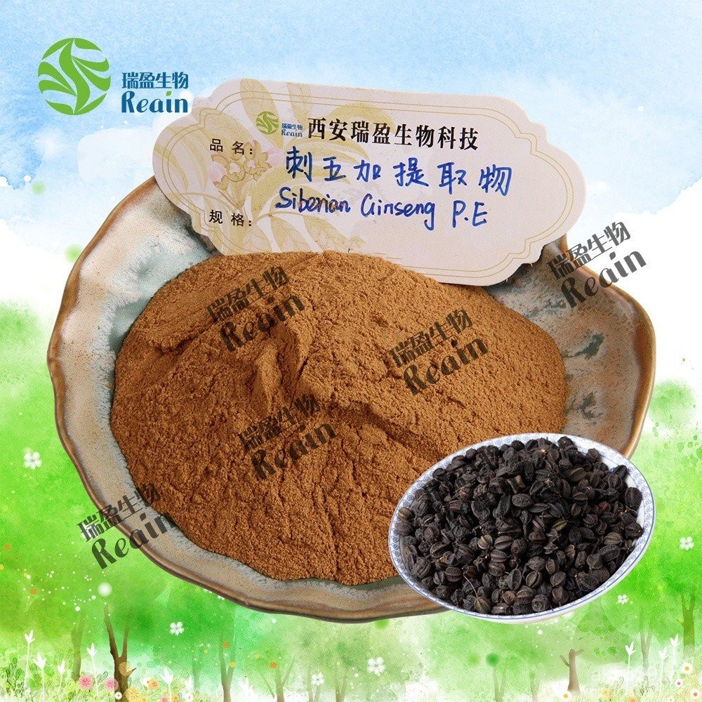 Five Plus Skin kg1 Scale Extract Acanthopanax Five Plus Extract Ready Stock Acanthopanax Five Plus E