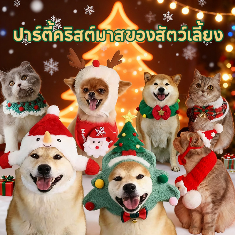 ปลอกคอสัตว์เลี้ยง หมวกสัตว์เลี้ยง ปลอกคอ ผ้าพันคอ ลูกไม้ สไตล์คริสต์มาส แมว หมา