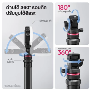 Ulanzi MT80 ขาตั้งกล้อง ขาตั้งไฟสตูดิโอ กางอัตโนมัติ สูง 213cm รับน้ำหนัก 5kg ขนาดพกพา