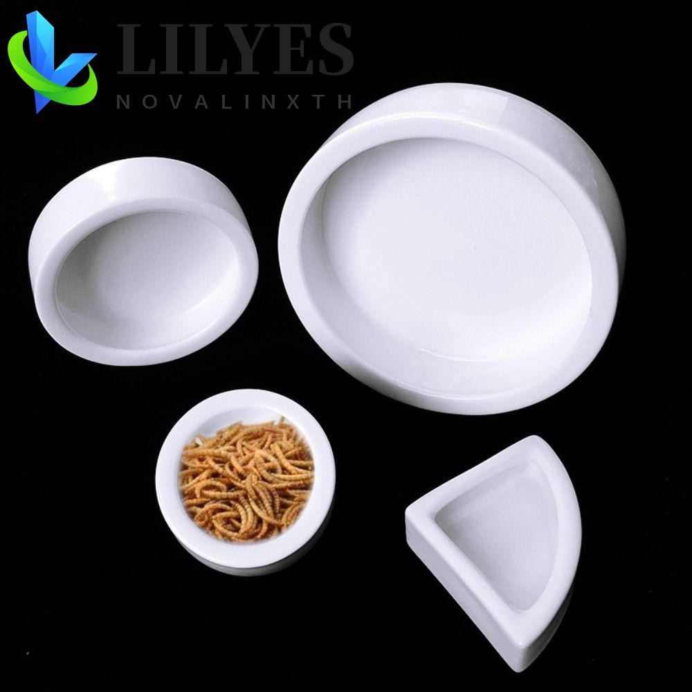 LILYES Lizard Food Pot, Ceramic White Lizard Bowl, Durable Round Escape Proof Aseptic Food Container