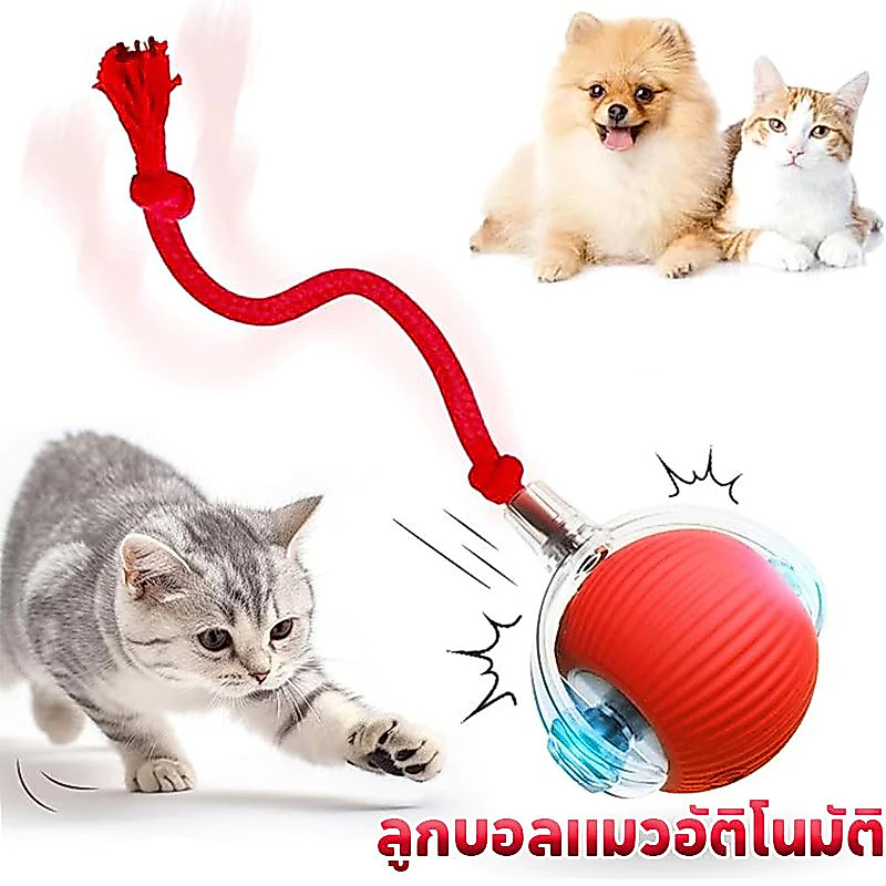 🐾ลูกบอลแมวอัตโนมัติ 😻สมาร์ทไฟฟ้า สำหรับความสนุกของแมว