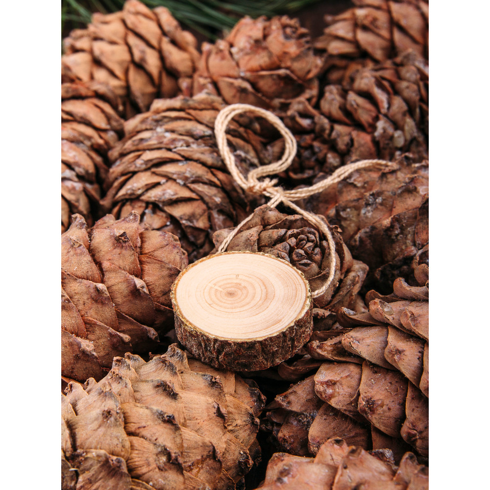 Anasta Xia Mingxiang Cedar Wood Block จี้สร้อยคอกว้างเหนือ 3-4 ซม.ธูป Diffuser ไม้ Purify Air
