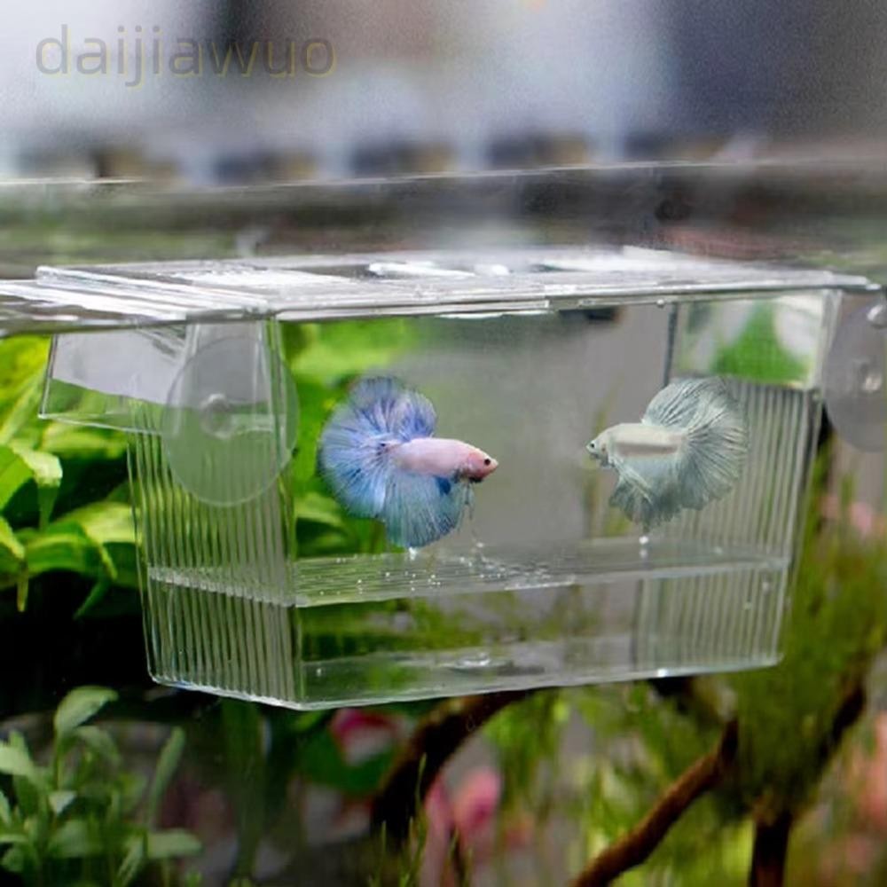 กล่องแยกพันธุ์ DAIJI, Incubator Grow ที่วางการสืบพันธุ์ต้นกล้า เพาะพันธุ์ตู้ปลา, พิพิธภัณฑ์สัตว์น้ําทอดปลา พิพิธภัณฑ์สัตว์น้ําอะคริลิค