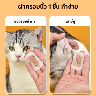 AimayaPet ทำความสะอาดสัตว์เลี้ยง ทิชชู่เปียกเช็ด สูตรสกัดว่านหางจระเข้ ปลอดภัยไม่ระคายเคือง 120แผ่น