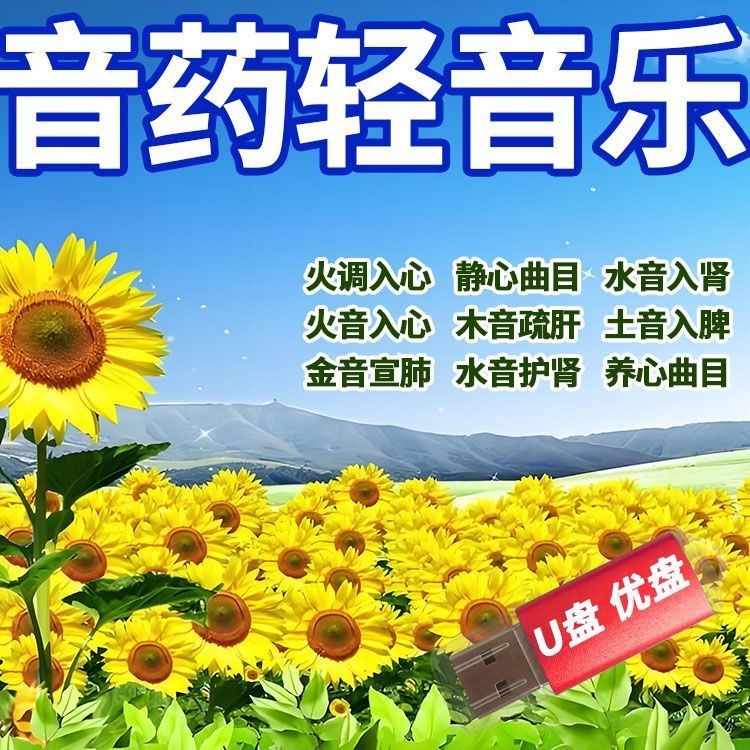 U Disk U Disk Five-Tone Health Song Sleep Aid Music คุณภาพสูง MP3 Pure Music จีนยา Nourishing Heart 