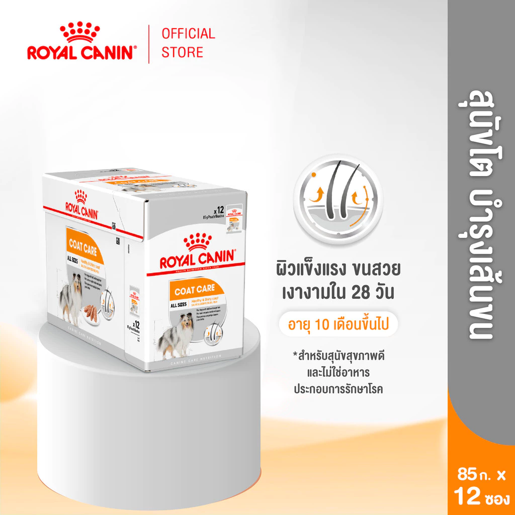 [12 ซอง] Royal Canin Coat Care Pouch Loaf อาหารเปียกสุนัขโตทุกขนาด บำรุงเส้นขน (โลฟ,Wet Dog Food,โรยัล คานิน)