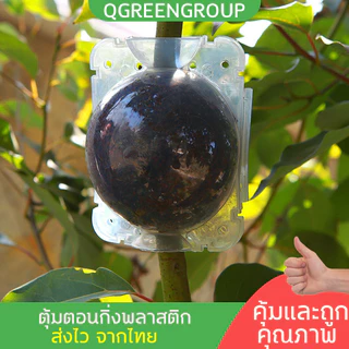 รุ่นใหมพร้อมส่ง หนากว่าเดิม ตุ้มตอนกิ่ง(เกรดA) ตุ้มตอนกิ่งพลาสติก ลูกบอลตอนกิ่ง ขยายพันธุ์พืช ตอนกิ่ง ตอนต้นไม้