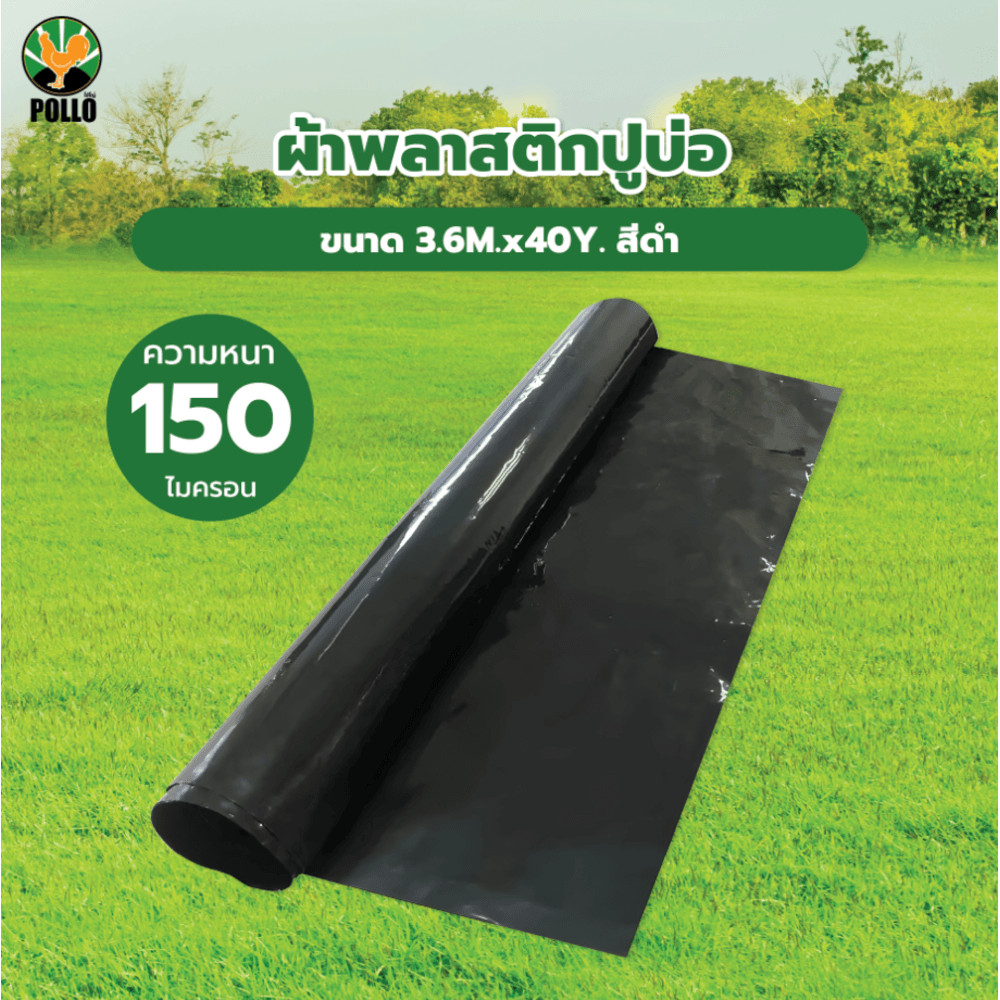 LOCAL789 POLLO ผ้าพลาสติกปูบ่อ รุ่นLD153640B ขนาด 3.6M.x40Y. 150ไมครอน สีดำ ร้านอยู่ในไทย