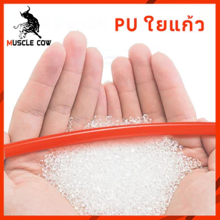 MUSCLE COW สายลม PU แบบขดสปริง ขนาด 8x5 มิล มี 4 ความยาว 8/10/12/15 เมตร ใช้กับปืนลมและเครื่องมือลมช่าง