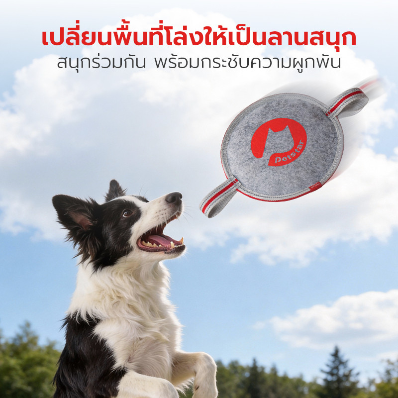 Pet Star لعبة قماش ثلاثية الطبقات للرمي والسحب للكلاب — صورة 6