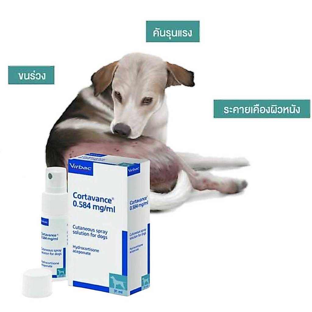 Virbac Cortavance 31 ml ล็อตใหม่ล่าสุด
