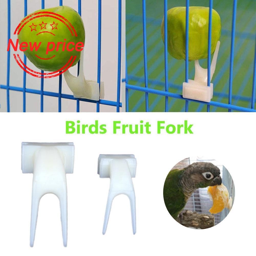 ส้อมผลไม้พลาสติกสําหรับนกไม้เสียบไม้พลาสติกสีสันสดใสที่วางผลไม้แบบใช้ซ้ําได้สําหรับกรง Q2r4