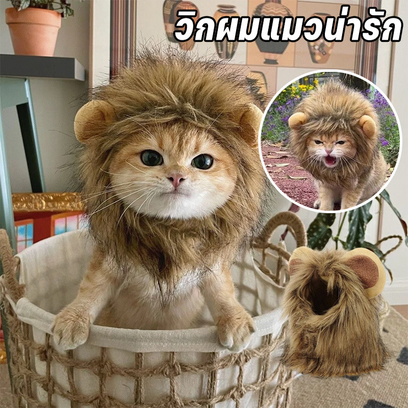หมวกแมว หมวกสัตว์เลี้ยง สิงโตที่น่ารัก วิกผมแมวน่ารัก ภาพสิงโต อุปกรณ์ปาร์ตี้พัดลม สุนัข แมว