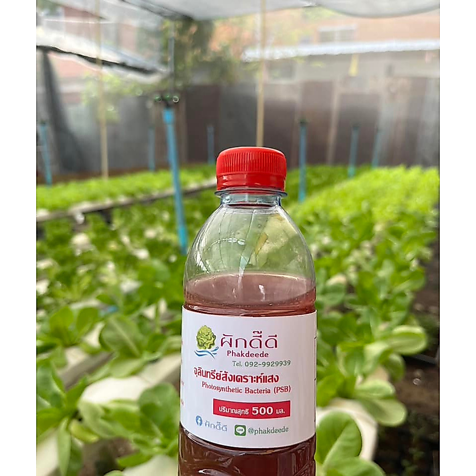 หัวเชื้อ จุลินทรีย์สังเคราะห์แสง - Photosynthetic Bacteria (PSB) ขนาด 500มล. เข้มข้น แดงทุกขวด