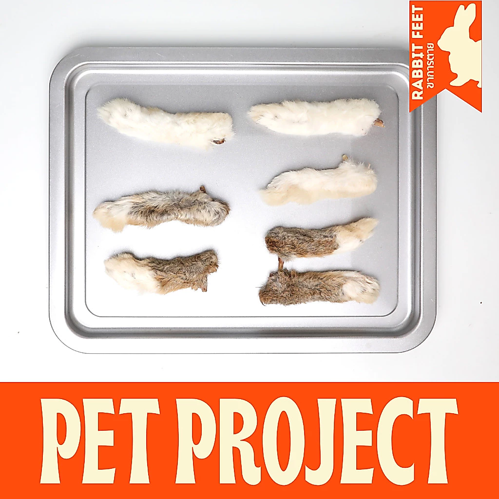 Rabbit Feet ขากระต่ายอบแห้ง ขนมเคี้ยวเล่นสุนัข 100% Natural ( ขาหลัง 3 + ขาหน้า 4 )
