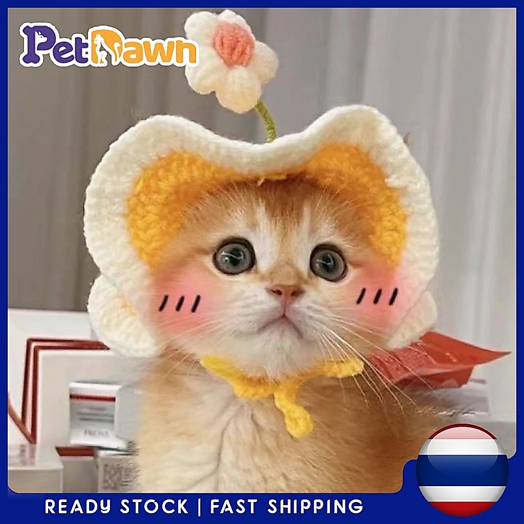 หมวกถักแมว หมวกแมว หมวกไหมพรม สัตว์เลี้ยงน่ารักที่มีการออกแบบดอก