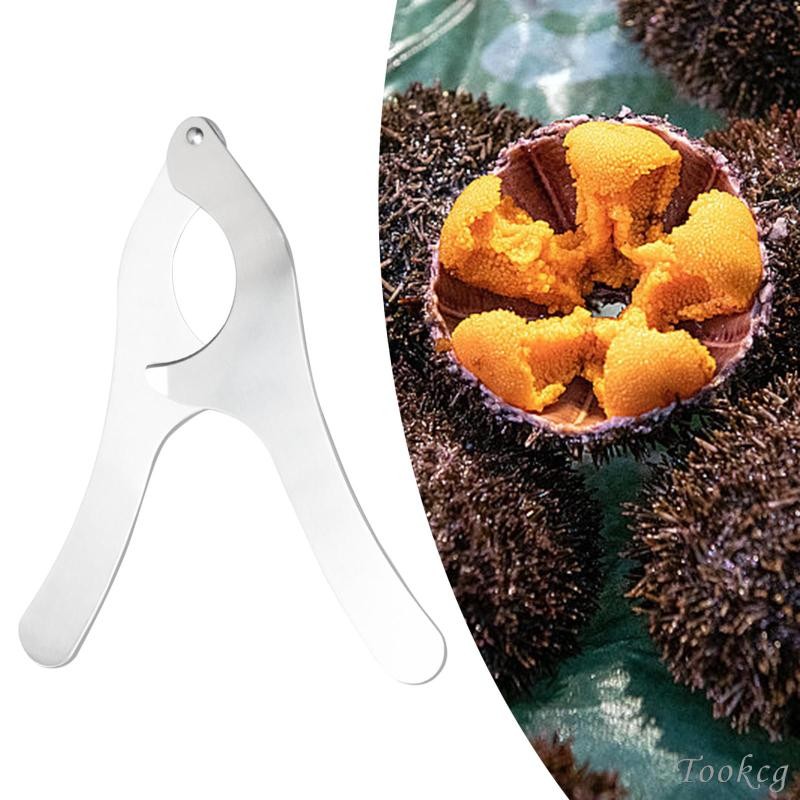 [Tookcg] Sea Urchin Opener กรรไกรเปิดแบบพกพา Sea Urchin Gadget กรรไกรครัว