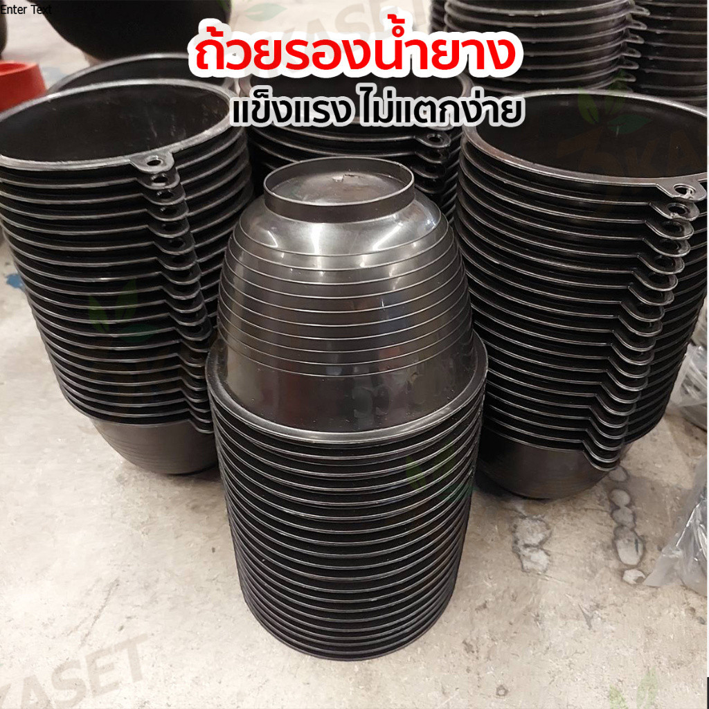 ถ้วยรองน้ำยาง จอกยาง ถ้วยยาง ถ้วยปลูกต้นไม้ แต่งสวน กะลายาง [แพ็ค 50 ใบ /100 ใบ]