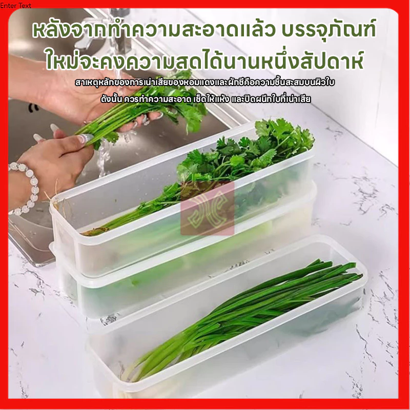 กล่องถนอมอาหาร เก็บความสด  เก็บได้นานขึ้น จัดตู้เย็นเป็นระเบียบ กล่องเก็บอาหาร thumbnail 5