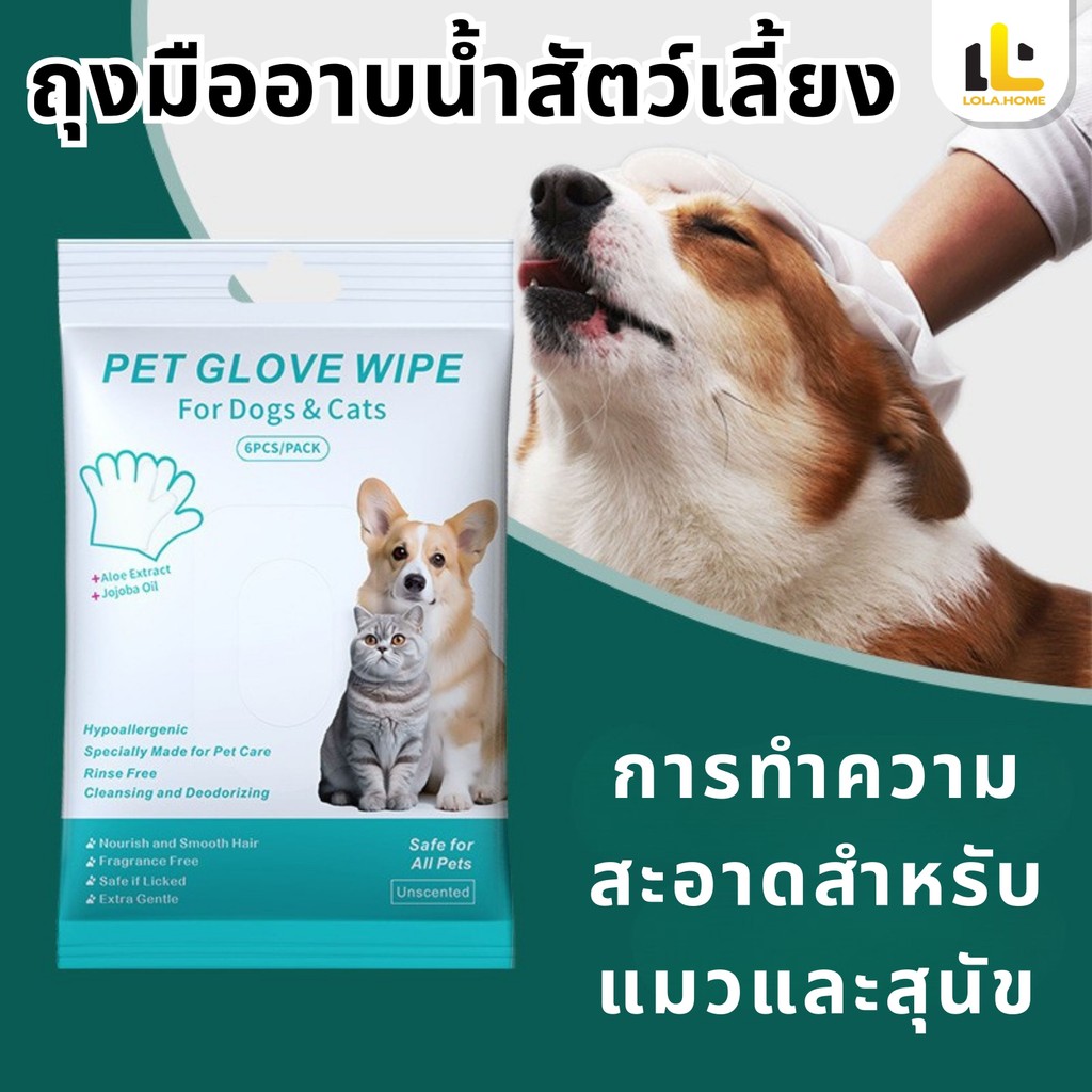 🐱จัดส่งทันที🐱ทำความสะอาดถุงมือสัตว์เลี้ยง ถุงมือสัตว์เลี้ยงแบบใช้แล้วทิ้ง  ดูแลผิวสุนัขและแมว ถุงมือทำความสะอาดฆ่าเชื้อ
