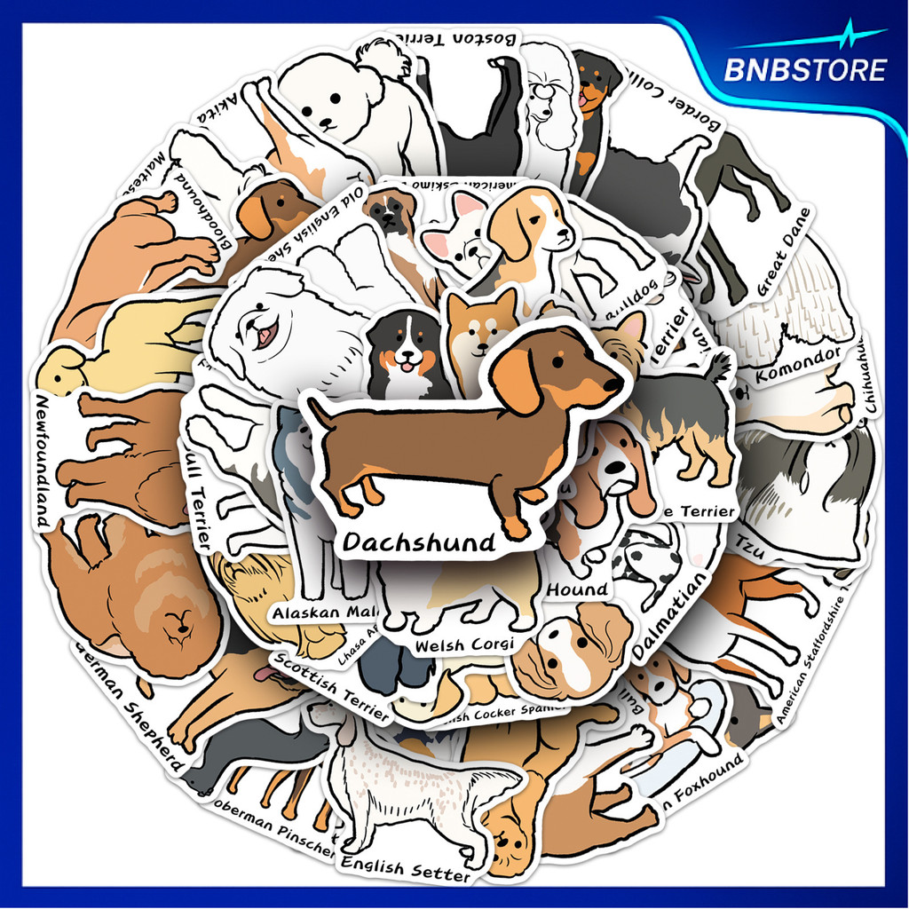🍀ส่งจากไทย🍀 50แบบ Dog Breed Name Cartoon Sticker สติกเกอร์สารานุกรมสุนัข สายพันธุ์น้องหมา พร้อมชื่ออังกฤษ กันน้ำ