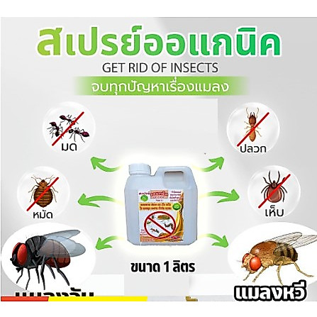 ล่แมลงวัน แมลหวี่ ในถังขยะ ในห้องครัว (1ลิตร) (ML-1) ตัดวงจรพาหะนำเชื้อโรค ออแกนิคสมุนไพร