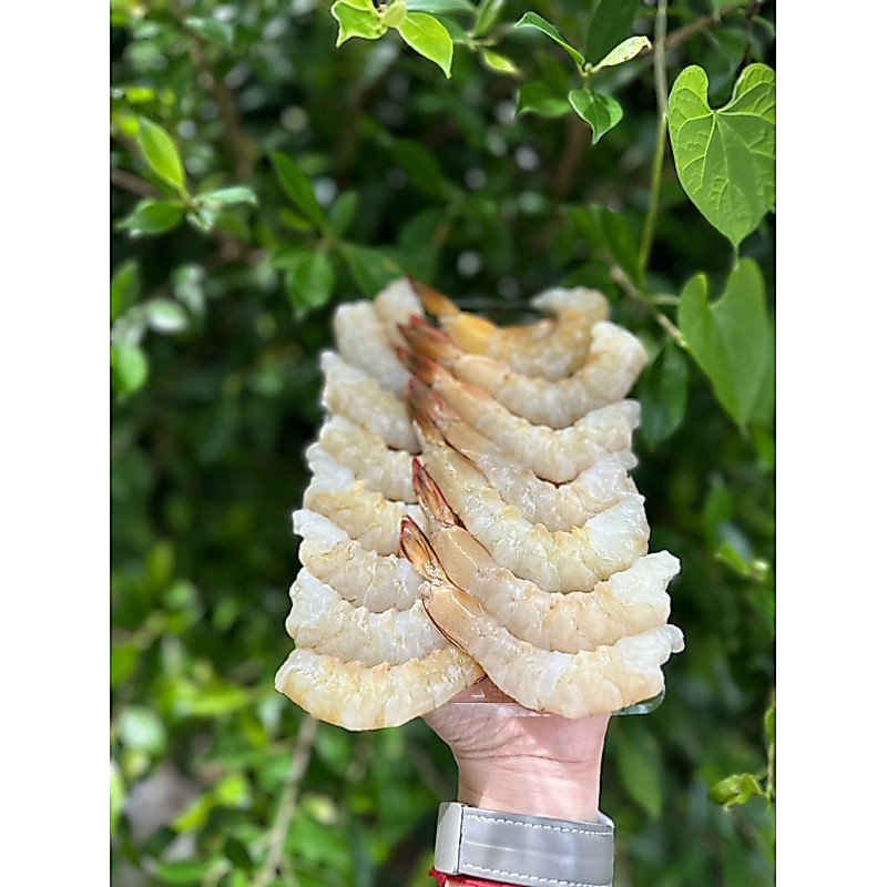 กุ้งแชบ๊วยสด แกะเปลือก ไม่แกะเปลือก 250.-(ครึ่งกิโล) สดแท้จากทะเล