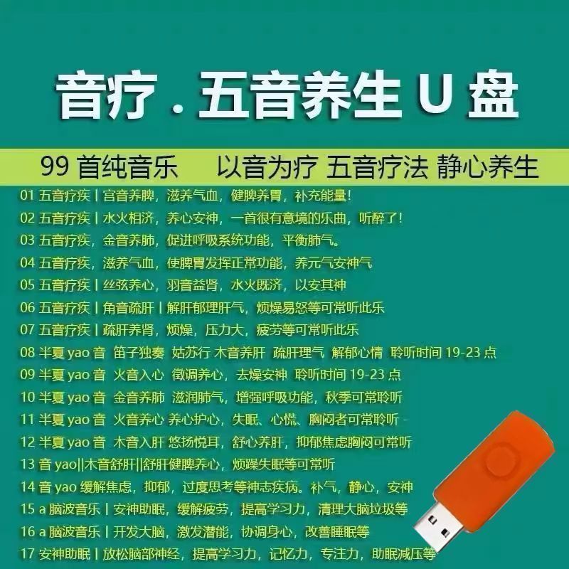 Pentone สุขภาพเพลง U Disk คุณภาพสูง MP3 Pure Music สุขภาพสมาธิ Light Music Soothing Mood + ZLD +