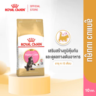 Royal Canin Kitten Mainecoon 10kg อาหารเม็ดลูกแมว อายุ 2-15 เดือน (Dry Cat Food, โรยัล คานิน)