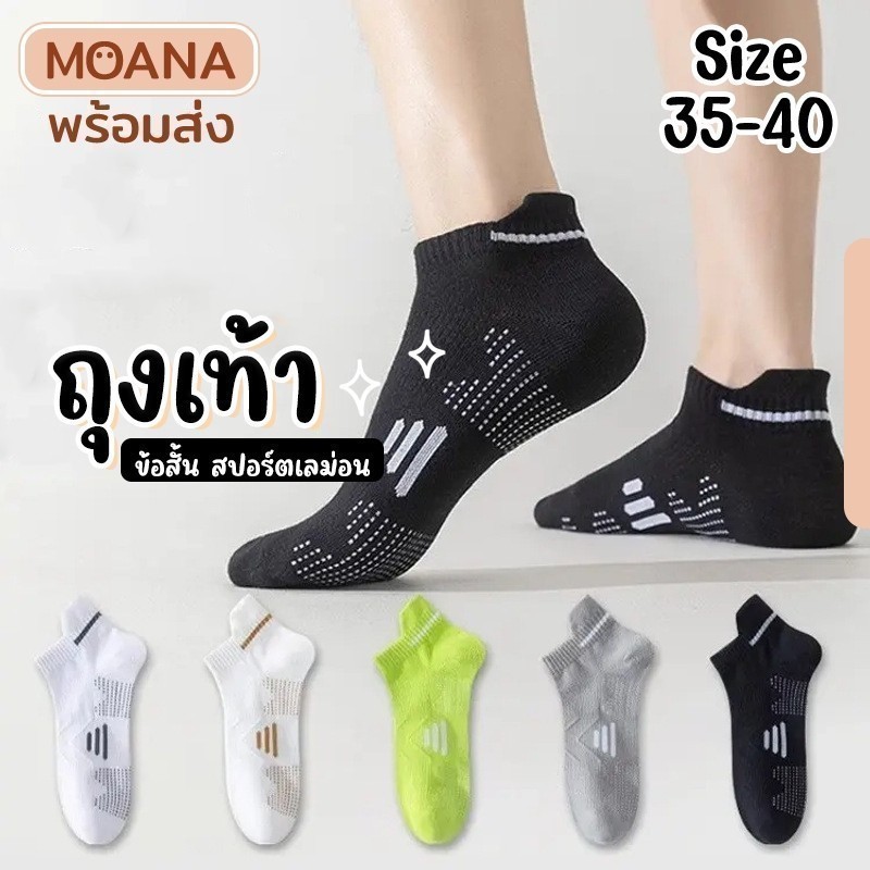 พร้อมส่ง : ถุงเท้า ข้อสั้น สีพื้น Pha ขอบ 5 คู่ น่ารัก ใส่ได้ทุกวัน เนื้อผ้านุ่ม แฟชั่น - รูปที่ 3