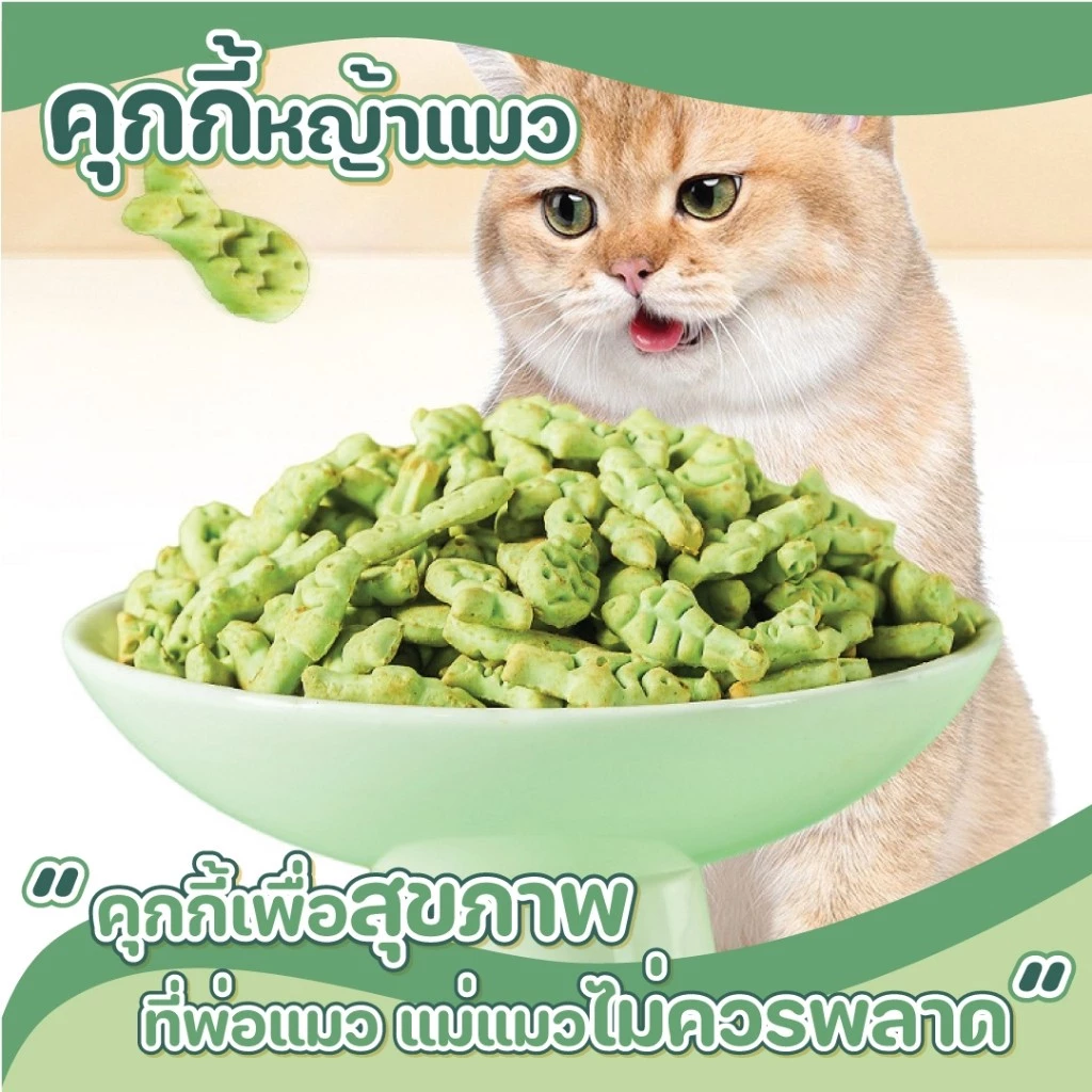 คุกกี้หญ้าแมว 120 g คุ้กกี้แมว บิสกิตเเมว ขนมสัตว์เลี้ยง ขนมเเมว หญ้าแมวฟรีซดราย ช่วยสำรอกก้อนขน ผสมปลาแซลม่อน