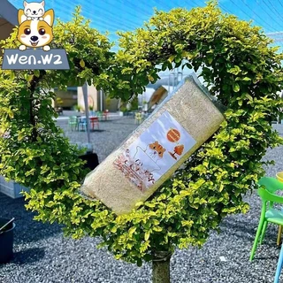 wen.W2 ขี้เลื่อยรองกรง หนูแฮมเตอร์ 500กรัม/1000กรัม ขี้เลื่อยหนูแฮมเตอร์ ธรรมชาติ100%